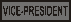 VICEPRESIDENT